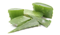 aloe