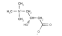 carnitina