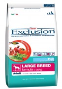 Adult Fish Large Breed-Dry