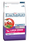 Adult Rabbit large breed-Dry