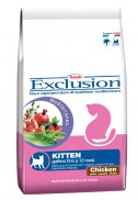 Cat Kitten Chicken-Dry