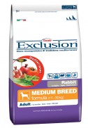 Adult Rabbit Medium Breed-Dy