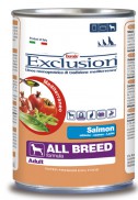 Adult Salmon All Breed-Canned