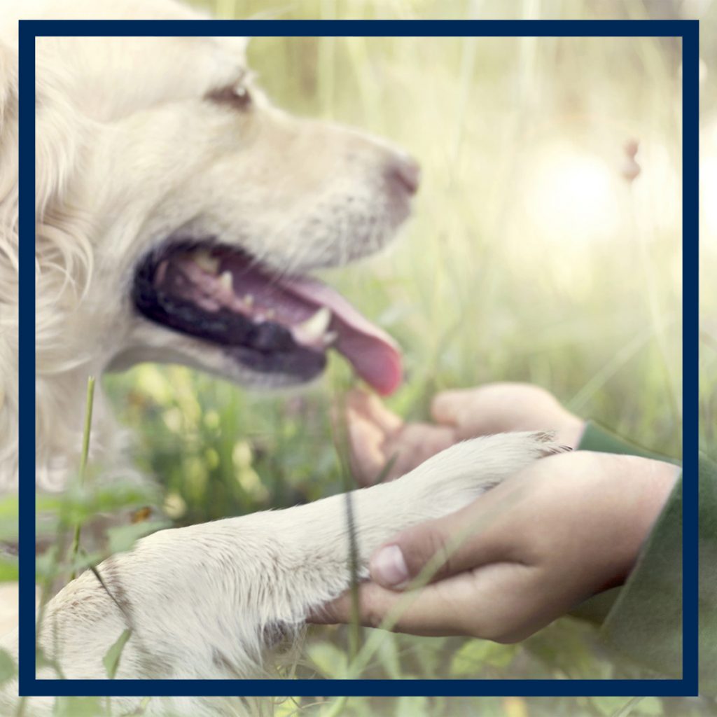 Our Onlies - Exclusion