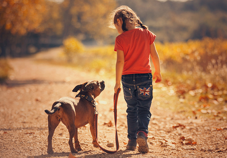 Cani Gatti E Bambini Il Bello Di Crescere Insieme Exclusion