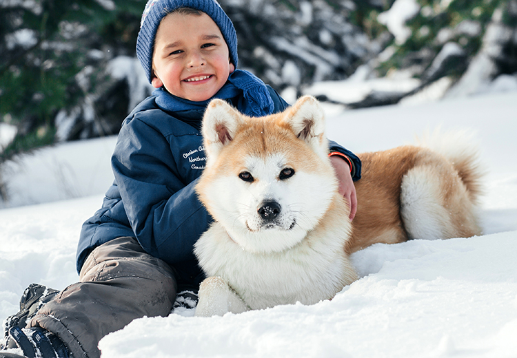 Akita Inu sulla neve con un bambino