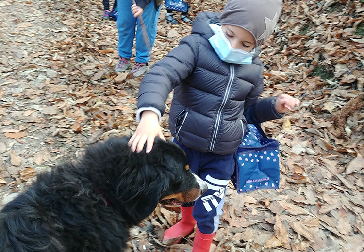 bambino e cane nel bosco